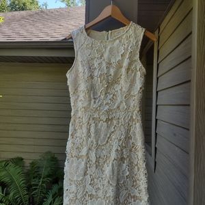 Loft lace sheath dress